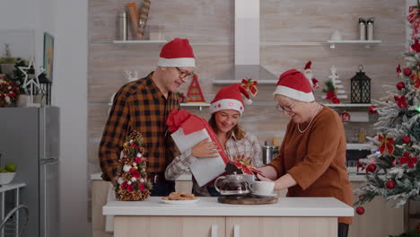 Grandparents-surprising-granddaughter-with-wrapper-present-spending-christmastime-together