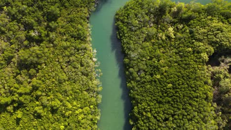 Siguiendo-Lentamente-Un-Río-Sinuoso-A-Lo-Largo-Del-Borde-De-Una-Región-De-Selva-Tropical