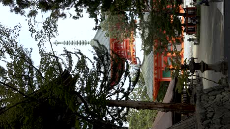 View-Of-Bright-Red-Konpon-Daito-Pagoda-Through-Trees-At-Koyasan