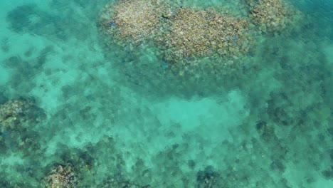 Creative-reveal-of-a-coral-reef-system-surrounded-by-clear-blue-water