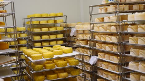 Different-varieties-of-cheese-refrigerated-in-a-chamber,-stacked-on-racks