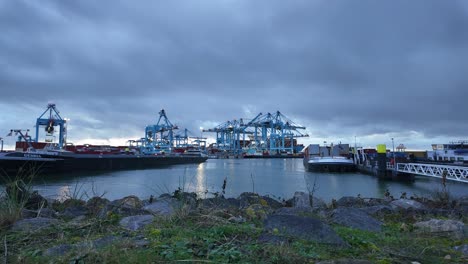 Timelapse-of-container-cranes-moving-at-APM-Terminals-Maasvlakte-2-on-a-cloudy-day