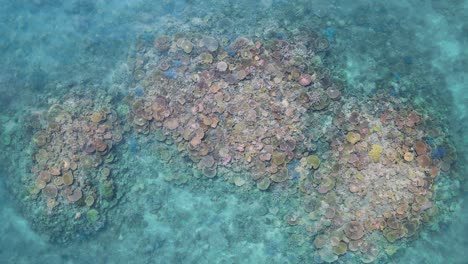 Lebendiges-Und-Atemberaubend-Gefärbtes-Korallenriffsystem-Von-Oben-Auf-Dem-Great-Barrier-Reef