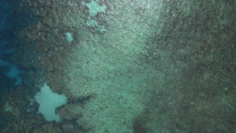 Ausgedehntes-Korallenriff-Ökosystem-Mit-Kristallklarem-Meerwasser,-Oben-Gesehen