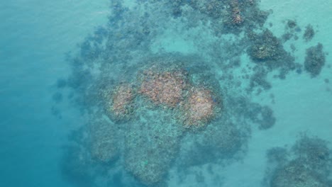 Langsamer-Abstieg-über-Ein-Atemberaubendes-Farbiges-Korallenriff-Ökosystem,-Umgeben-Von-Klarem,-Blauem-Meerwasser