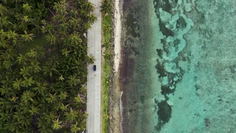 San-Andres-Island-Road-on-Tropical-Coral-Reef-Coastline-with-Palm-Trees,-Top-Down-Aerial-View