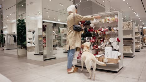 Fashionable-woman-choosing-Christmas-decoration-at-a-pet-friendly-store-with-her-happy-labrador