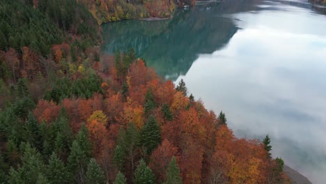 Aerial-clip-of-the-lake-situated-in-a-valley-near-the-alpine-forest
