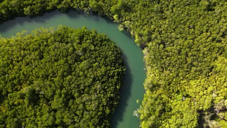 Langsam-Windet-Er-Sich-Entlang-Eines-Von-Krokodilen-Bewohnten-Flusses,-Der-In-Den-Tropischen-Daintree-Regenwald-Nationalpark-Führt