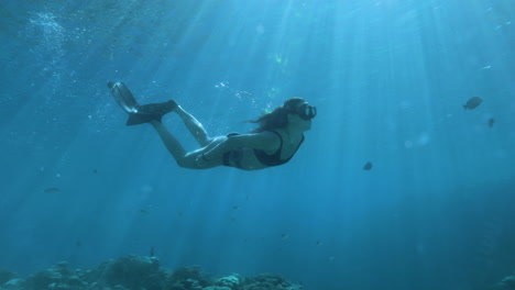 Free-Diving-Girl-under-water-in-the-Red-sea-chasing-a-a-big-group-of-fish-with-the-magic-of-sunlight-shot-RAW-Cine-Style-color-profile
