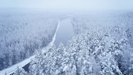 Snowy-winter-forest-with-river-Gauja-in-Latvia