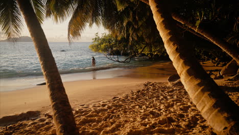 A-beautiful-woman-walks-along-the-beach,-wading-into-the-ocean-during-a-warm-sunset-in-Seychelles