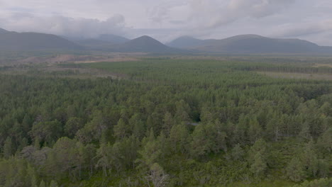 Cairngorms-National-park-aerial-tracking-shot-above-the-ancient-forest-of-Aviemore