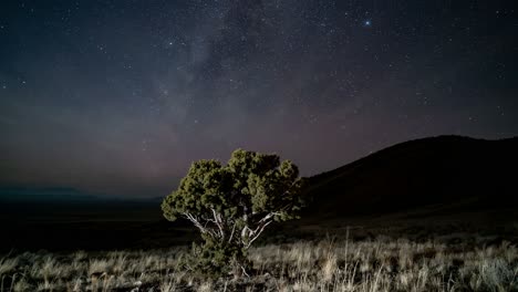 After-twilight,-the-Milky-Way-crosses-the-grassland-sky-above-a-tree---time-lapse
