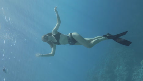 Free-Diving-Girl-under-water-in-the-Red-sea-dancing-slowly-with-the-magic-of-sunlight-shot-RAW-Cine-Style-color-profile
