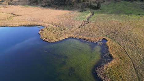 Aerial-clip-of-the-irregular-shaped-lake-with-algal-growth-in-a-grassland