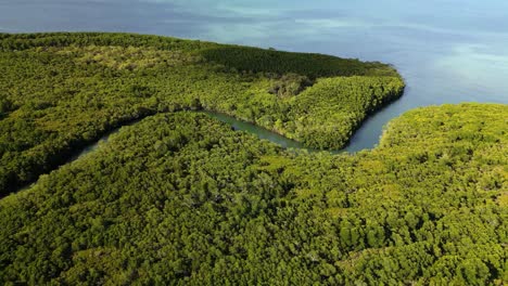 Vista-Creativa-De-Drones-De-Un-Río-Habitado-Por-Cocodrilos-Que-Fluye-Hacia-El-Parque-Marino-De-La-Gran-Barrera-De-Coral
