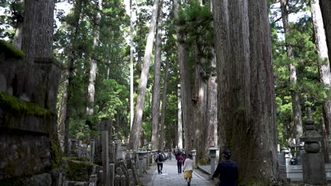 Tourist-walking-slow-motion-along-Okunoin-forest-cemetery,-Wakayama-Japan