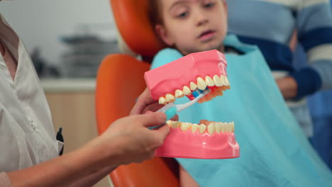 Dentista-Pediátrico-Que-Muestra-La-Higiene-Dental-Correcta-Usando-Una-Maqueta-De-Esqueleto