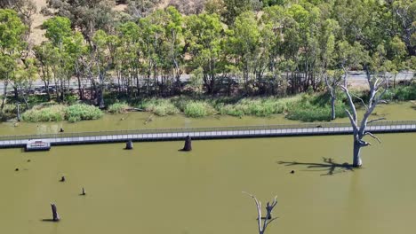 Aerial-alongside-the-new-walking-and-cycling-bridge-over-Lake-Mulwala,-NSW,-Australia