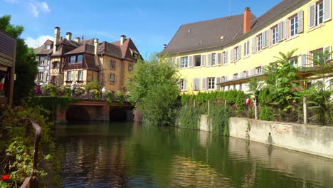 There-are-a-lot-of-Greenery-Growing-in-Fishmongers-district-in-Colmar