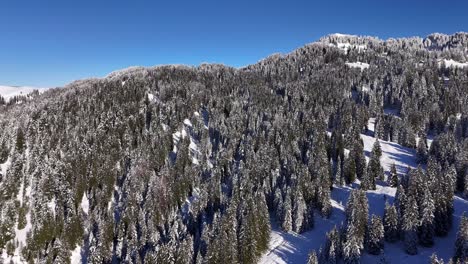 Área-De-Bosque-Aéreo-Con-Cielo-Y-Snowboard-Ruta-De-Deportes-De-Invierno-Amden-Suiza