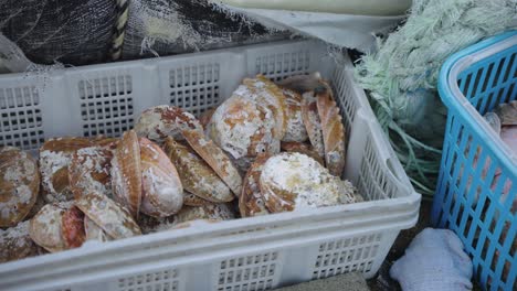 "Awabi"-Abalone-Shells-in-Catch-Basket-in-Marina,-Toba,-Mie-Prefecture-Japan