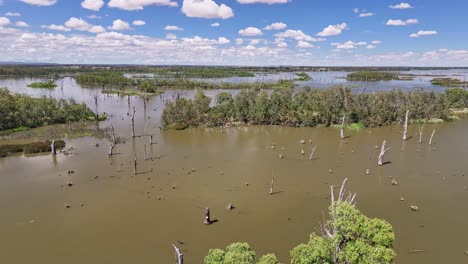 Luftaufnahme-Hinter-Einigen-Bäumen-Am-Ufer-Des-Lake-Mulwala,-New-South-Wales,-Australien
