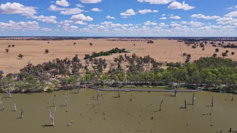Aerial-moving-alongside-a-walking-track-bridge-over-Lake-Mulwala,-NSW,-Australia-with-farmland-beyond