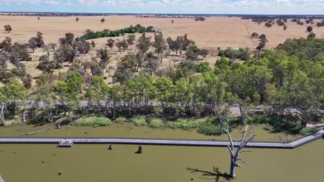 Antena-Moviéndose-Junto-A-Un-Puente-Para-Caminar-Y-Andar-En-Bicicleta-Sobre-El-Lago-Mulwala,-Nueva-Gales-Del-Sur,-Australia