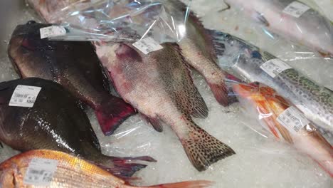 Fish-on-Ice-at-Japanese-Market-in-Toba,-Mie-Prefecture
