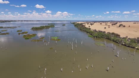 Aerial-looking-at-farmland-and-swinging-around-to-reveal-islands-of-Lake-Mulwala,-NSW,-Australia