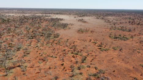 Drone-flying-towards-a-"bold-patch"-in-the-Australian-Outback