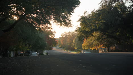 Neighborhood-street-with-lots-of-nature-and-trees-during-golden-hour