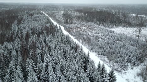 Snowy-forest-with-frost-on-the-trees-in-a-winter-landscape---aerial-flyover