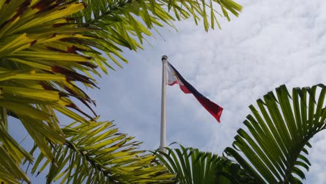 Camera-twisted-to-the-right-to-reveal-a-lovely-Philippine-Flag-seen-through-palm-tree-branches