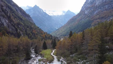 Drone-on-the-forest-in-Val-di-Mello,-eagle-eye,-Italy