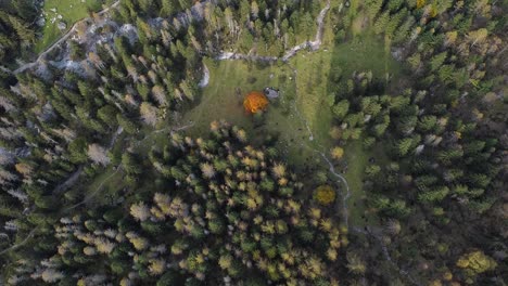Drone-on-the-forest-in-Val-di-Mello,-Italy