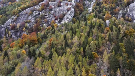 Drone-on-the-forest-and-stones-in-Val-di-Mello,-Italy