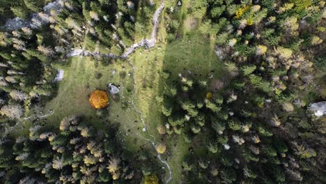 Drone-on-the-forest-in-Val-di-Mello,-foliage,-Italy