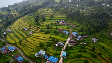 Casas-Adosadas-Y-Terrazas-De-Arroz-En-Las-Colinas-De-Las-Montañas-De-Nepal.