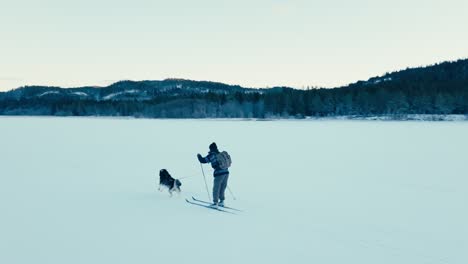 The-Man-is-Being-Towed-on-Skis-by-a-Dog-in-Indre-Fosen,-Trondelag-County,-Norway---Tracking-Shot