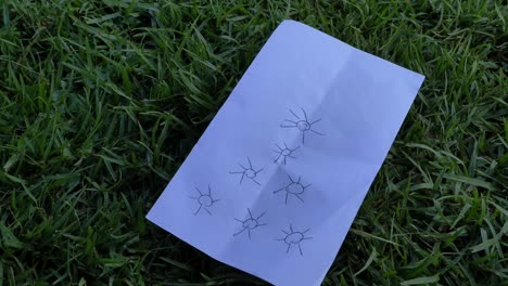 A-drawing-with-suns-in-the-shape-of-a-Christmas-tree-lies-in-the-grass