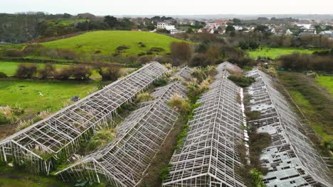 Flight-over-old-derelict-glasshouses-in-Guernsey-across-to-green-fields-with-houses-in-the-background-slow-flight-showing-dereliction