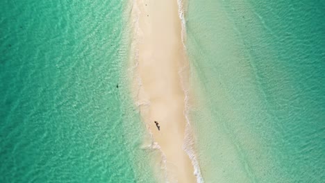 Woman-stand-on-sandbank-and-walk-to-sea-water,-aerial-top-view,-Los-Roques-Caribbean