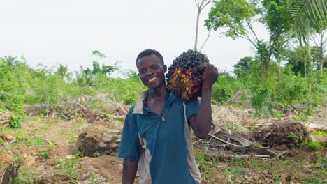 Junger-Lächelnder-Afrikanischer-Schwarzer-Bauer,-Der-Kokosnuss-Auf-Seiner-Schulter-Trägt-Und-In-Afrika-In-Die-Kamera-Schaut