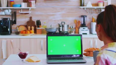 Looking-at-laptop-with-green-mock-up