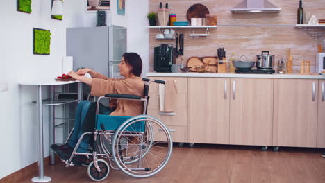 Frau-Mit-Beinlähmung-Im-Rollstuhl
