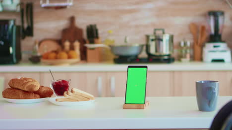 Smartphone-Mit-Grünem-Bildschirm