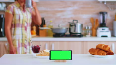 Telefon-Mit-Touchscreen-Und-Grünem-Modell